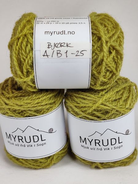 Hovedbilde Bjørk A/B1-25