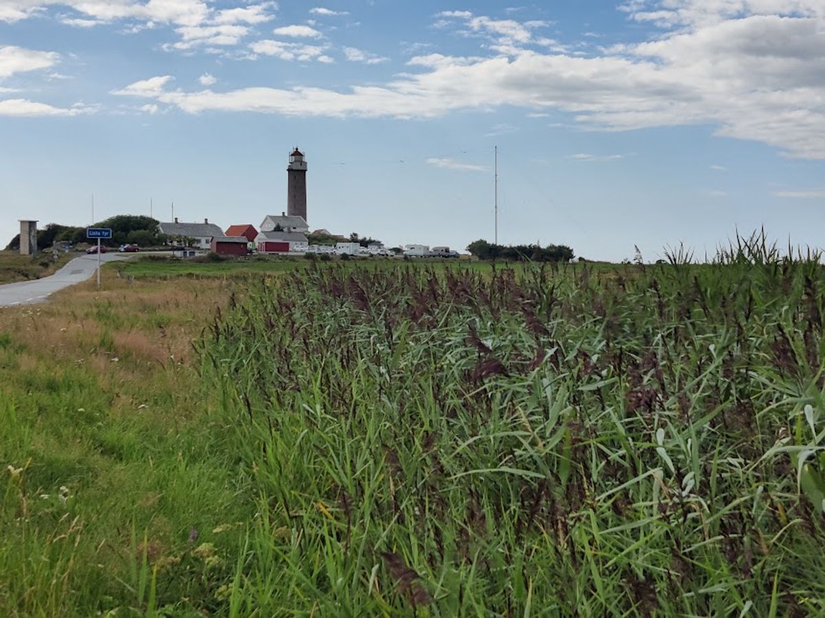 Takrøyr A/TR/1.1-25