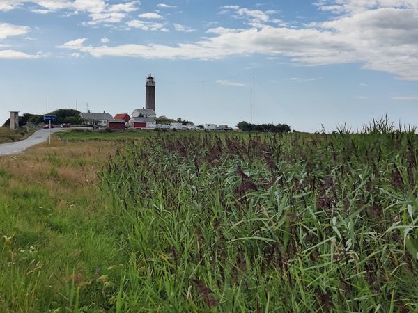 Hovedbilde Takrøyr A/TR/1.1-25
